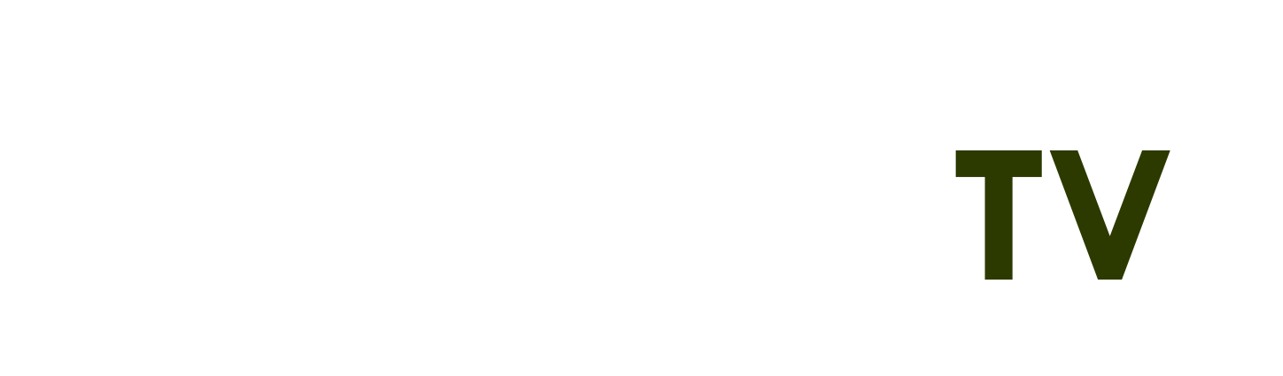 nhận định fiorentina